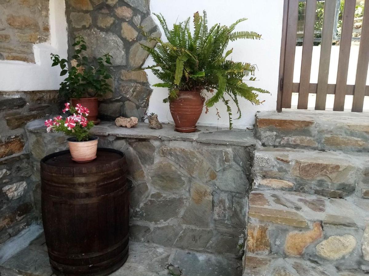 Petrino1880 Sea-Vacation Apartment In Chalkidiki Agios Nikolaos  Exterior photo