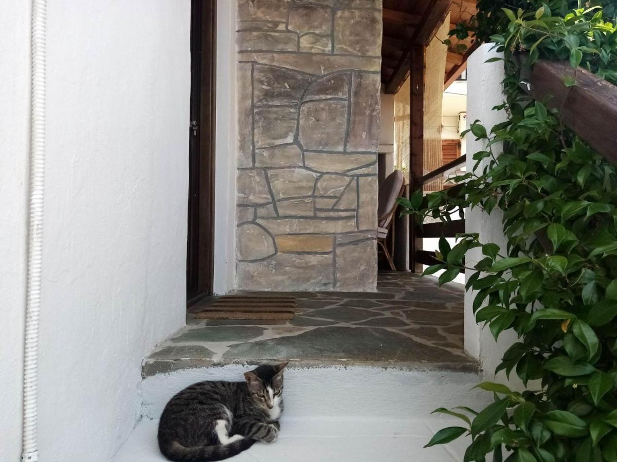 Petrino1880 Sea-Vacation Apartment In Chalkidiki Agios Nikolaos  Exterior photo
